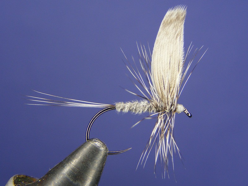Grey Dun dry fly with mallard wings How to tie fly, Fly tying Step by